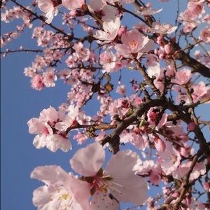 Meet your Posher, Mia